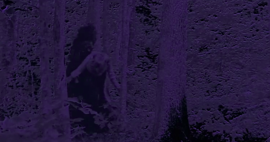 an effects shot with the witch carrying a girl through the forest. There's a strong metallic blue color saturating the picture.